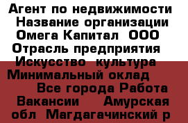 Агент по недвижимости › Название организации ­ Омега-Капитал, ООО › Отрасль предприятия ­ Искусство, культура › Минимальный оклад ­ 45 000 - Все города Работа » Вакансии   . Амурская обл.,Магдагачинский р-н